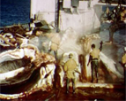 chasse à la baleine-1949, muet-image cinémémoire