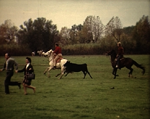 Ferrade en Camargue 1968 Ferrade en Camargue 1968