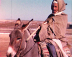 Bédouin sur un âne Bédouin sur un âne-image cinememoire