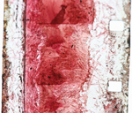 Film 16mm couleur virées rouge Photo Agnès O'Martins Film 16mm couleur virées rouge Photo Agnès O'Martins