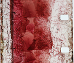 film 16mm de l'ORTB, photo cinémémoire/Agnès O'Martins